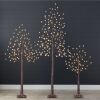 Set of 3 Lighted Twig Birch Trees, 4ft, 6ft, 8ft w/ 300 2-in-1 LEDs - Thumbnail 1