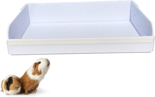 Guinea Pig Litter Box Guinea - Lot 5646