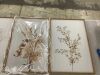 Framed Botanical Wall Art, 3 Piece - 1 Cracked Frame - Thumbnail 2