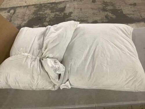 Basic Home Pillow Inserts, 30" x 30", Set of 2 - Lot 653