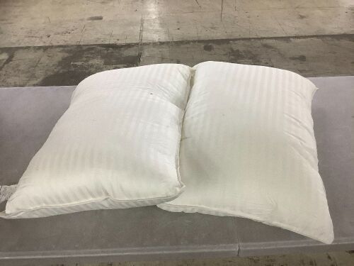 Bed Pillows, 2 Pack - Lot 776
