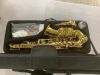 Eastar Tenor Saxophone, B Flat Golden Lacquer Beginner Kit with Cleaning Cloth, Case, Mouthpiece, Neck Strap, Reeds - Thumbnail 2