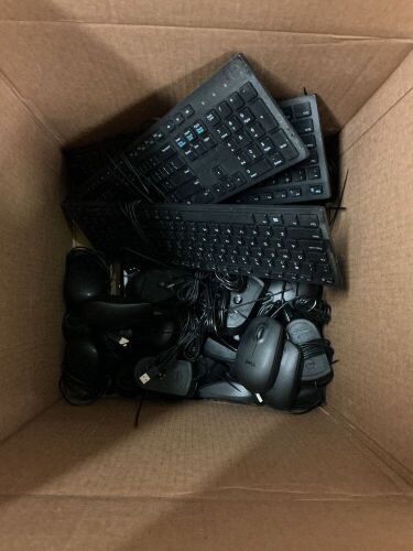 keyboards and mouses - Lot 5