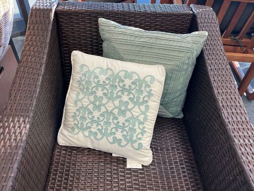 2 Pillows - Lot 34