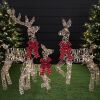 3 Piece Lighted Christmas Deer Set - Thumbnail 1