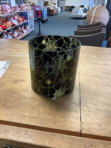 Spider Web Herricane - Lot 48