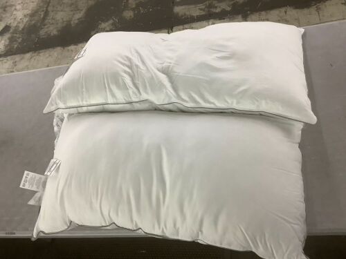 FluffCo Pillows, 2 pack - Lot 550