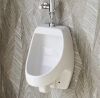 Hanikes 1.0 GPF Urinal with Siphon Jet Flush Action in White - Thumbnail 1