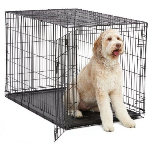 MidWest Single Door iCrate Metal Dog Crate, 48" - Lot 177