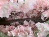 Artificial Cherry Blossom Tree - Thumbnail 5