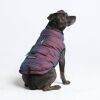 Spark Paws Dog Winter Jacket Medium and Large Dogs, Cosmic, 3XL - Thumbnail 1