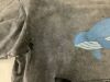 BALENCIAGA Oversized Distressed Whale Hoodie, Large - Authenticity Unknown - Thumbnail 4