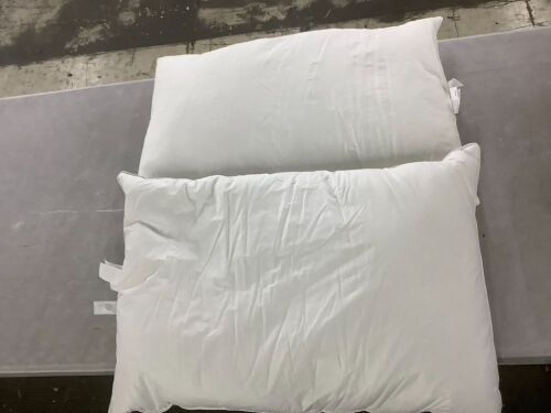 Queen Bed Pillows, 2 Pack - Lot 491