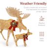 2 Piece Outdoor Moose Family - Thumbnail 3