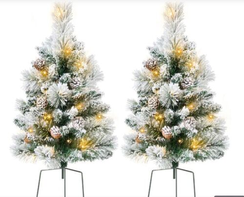 Set of 2 Pre-Lit Pathway Christmas Trees