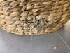 Scalloped 3PC Water Hyacinth Nesting Baskets - 1 Damaged - Thumbnail 3