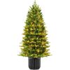 6' Pre-Lit Potted Christmas Tree w/Twinkling White & Multi LEDs - Thumbnail 1
