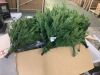 6' Pre-Lit Potted Christmas Tree w/Twinkling White & Multi LEDs - Thumbnail 2