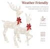 3-Piece Lighted Christmas Deer Set Outdoor Decor with LED Lights - Thumbnail 3