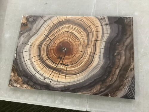 Tree Ring Canvas Wall Art - Lot 736