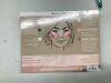 LAURA GELLER NEW YORK The Best of the Best Baked Palette - Full Size - Includes Bronzer, Blush, 2 Highlighters and 3 Eyeshadows - Travel-Friendly - Thumbnail 3