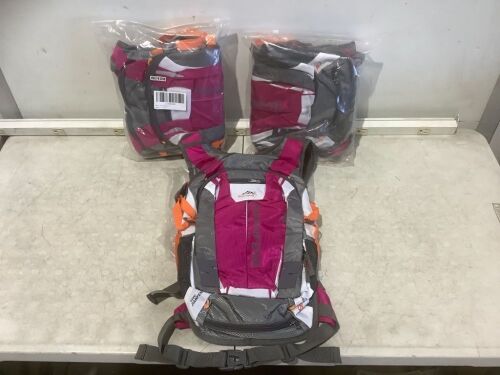 Lot of (3) Pink Cycling Backpacks  - Lot 800