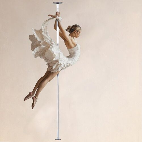 LUPIT POLE Classic G2 Standard Lock Portable Dance Pole, Spinning and Static Mode - Lot 397