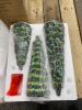 Set of 3 Pre-Lit Ceramic Tabletop Christmas Trees - Thumbnail 1