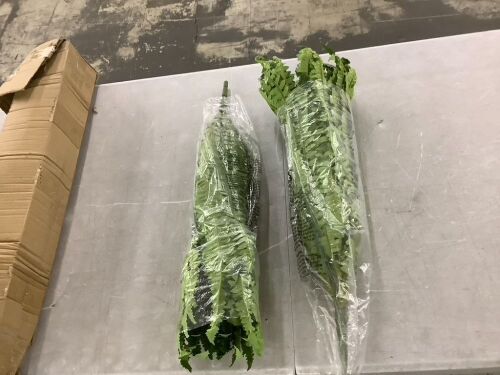 Artificial Ferns, 2 Pack - Lot 800