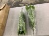 Artificial Ferns, 2 Pack - Thumbnail 1