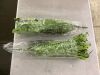Artificial Ferns, 2 Pack - Thumbnail 2