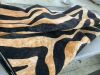 Zebra Print Rug, 8 x 10 - Thumbnail 3