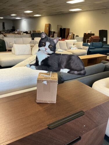 Solar Cat, Lot of 6 - Lot 196