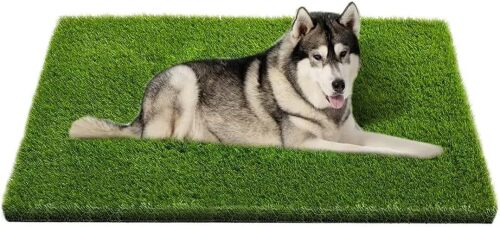 Artificial Grass, Professional Dog Grass Mat, Potty Training Rug and Replacement Turf Outdoor Rug Patio Lawn Decoration, Easy to Clean with Drainage Holes