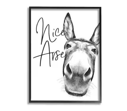 Nice Arse Donkey Wall Art, 24" x 30" - Lot 511JF