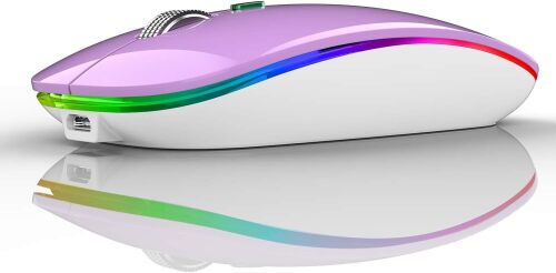 TENMOS Wireless Bluetooth Mouse, LED Slim (Bluetooth 5.1 + USB) 2.4GHz Rechargeable Silent Bluetooth Wireless Mouse with Type C Adapter for Laptop/MacBook/iPad OS 13 and Above (Purple)