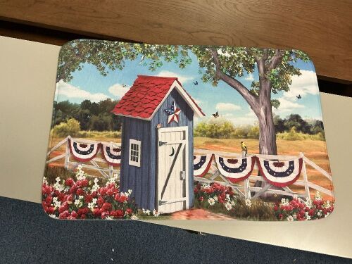 Bath Mat 30x20, Set of 2 - Lot 255