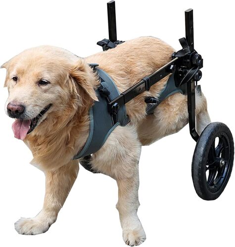 LIU&LIU 2 Wheels Adjustable Dog Wheelchair for Back Legs,Pet Hind Limb Rehabilitation,Older,Disabled