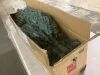 6' Unlit Artificial Blue Spruce Christmas Tree, w/Easy Assembly - Thumbnail 3
