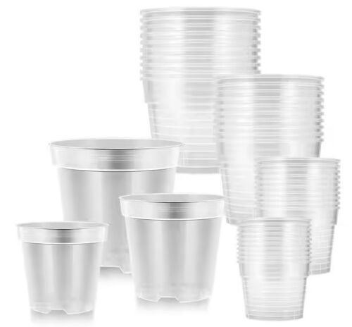 VIVOSUN 3/4/5/6 in. Clear Plastic Nursery Pots with Drainage Holes (40-Pack)
