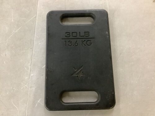 30 lb Cast Iron Ruck Plate