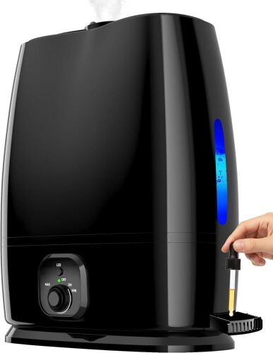 Everlasting Comfort 6L Humidifier