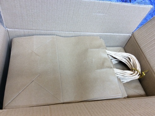 (1) Box, 200 Count, Brown Handled Paper Gift/Retail/Shopping Bags. 11 x 5.1 x 8.6". Appears New - Lot 497