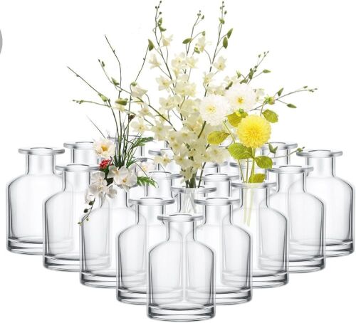 24 Pack Clear Glass Bud Vases