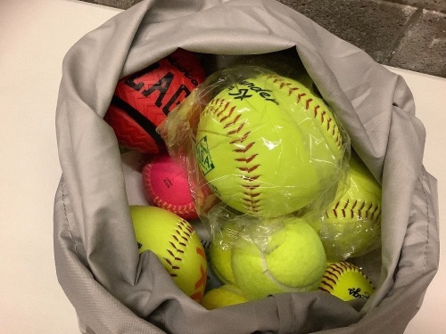 Misc. bag of sports balls - Lot 175