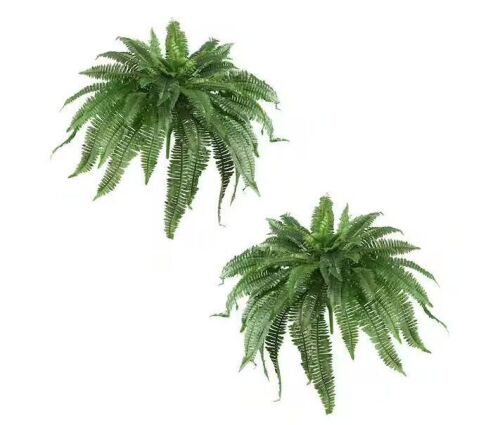 Nearly Natural 48 in. Artificial Boston Fern (Set of 2)