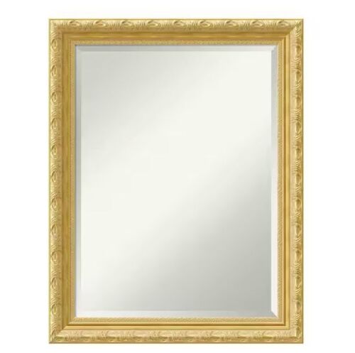 Amanti Art Versailles 22 in. W x 28 in. H Framed Rectangular Beveled Edge Mirror in Antique Gold