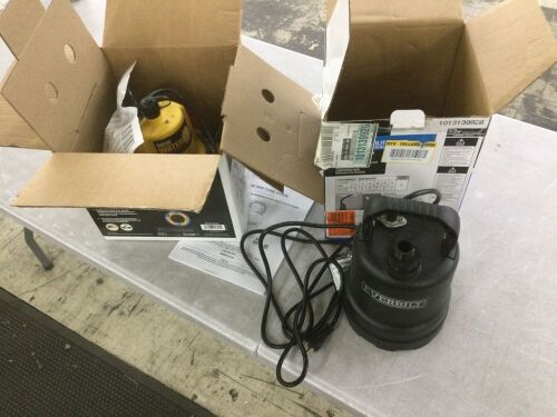 Lot of (2) Utility Pumps