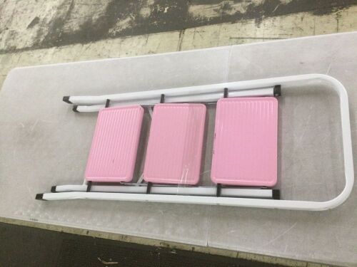 3 Step Folding Ladder