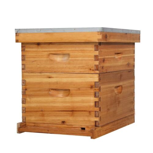 10 Frames Beehive, Complete Beehive Kit Includes 1 Deep Boxes, 1 Medium Box, Frames and Waxed Foundations